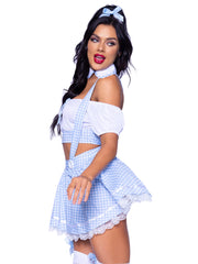 Farm Girl & Good Witch Couples Costume
