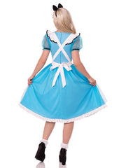 Looking Glass Alice Costume